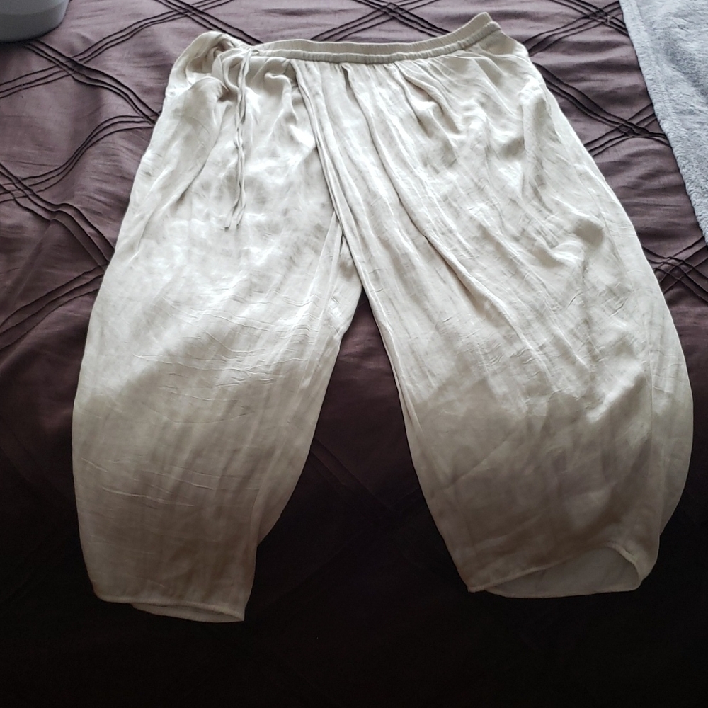 Zara Beige Harem Ankle Pants